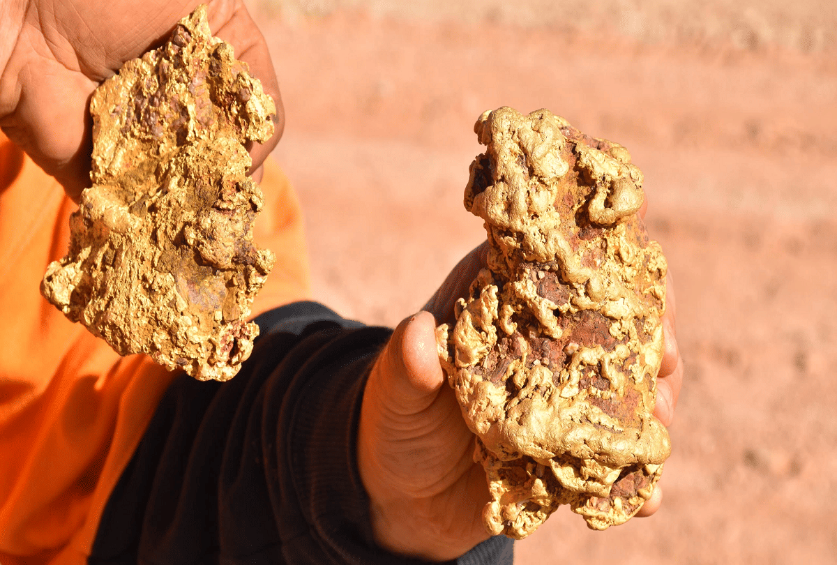 two giant gold nuggets worth one crore 87 lakh rupees found diggers in Australia