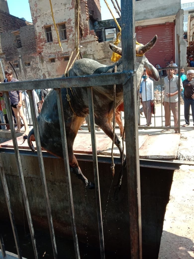 Dynasty fell in drains in four hours.