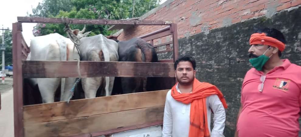 Animal smuggling continues, caught a smuggler with 11 animals