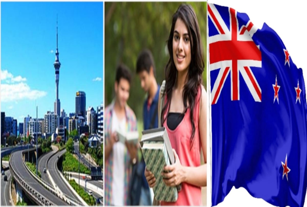 haryana news : dream of studying abroad stuck due to corona