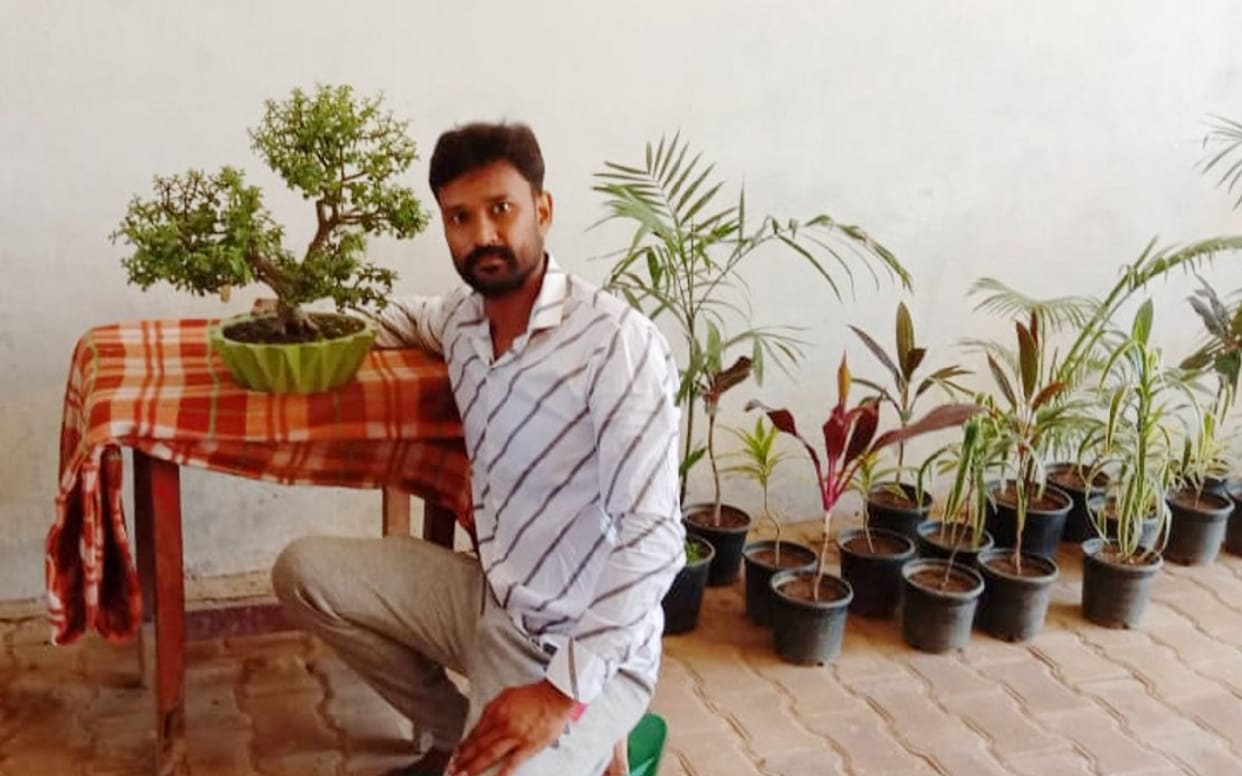 success story: Baghpat Boy started making bonsai after his graduation, now making good earnings