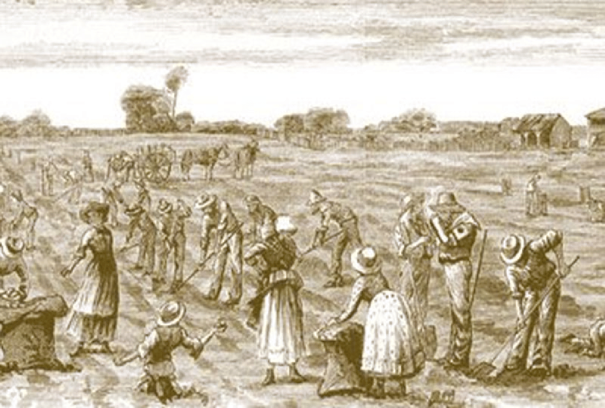 great famine ireland where millions of people died due to potato
