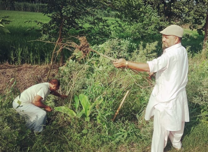 The system rejected, villagers decorated