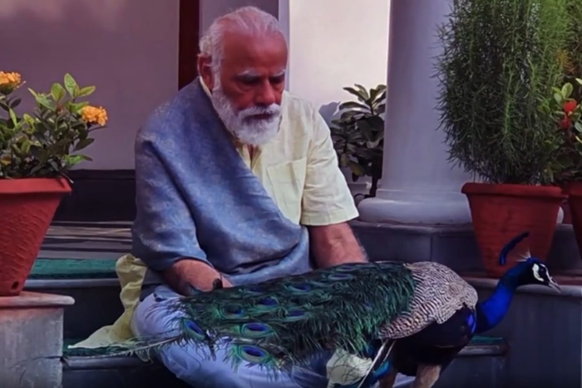 PM Modi share his nature love video on instagram shows feeding peacock morning walk along with poem