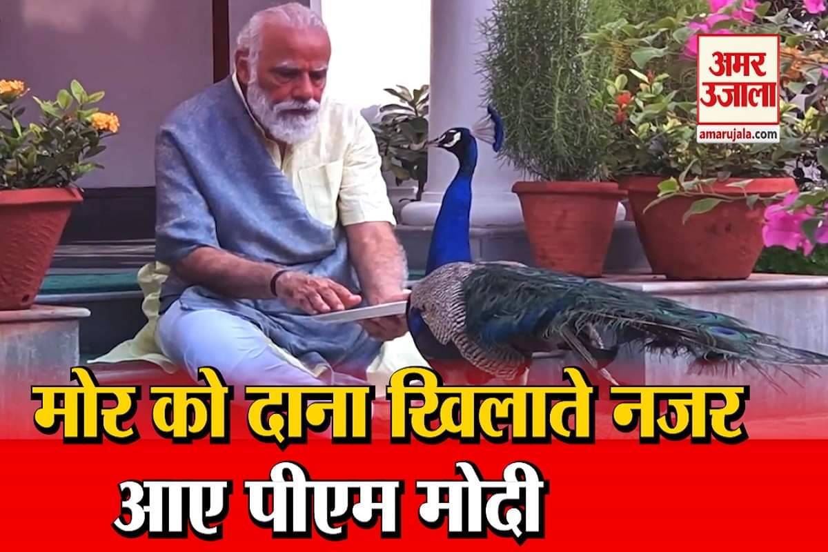 पीएम मोदी