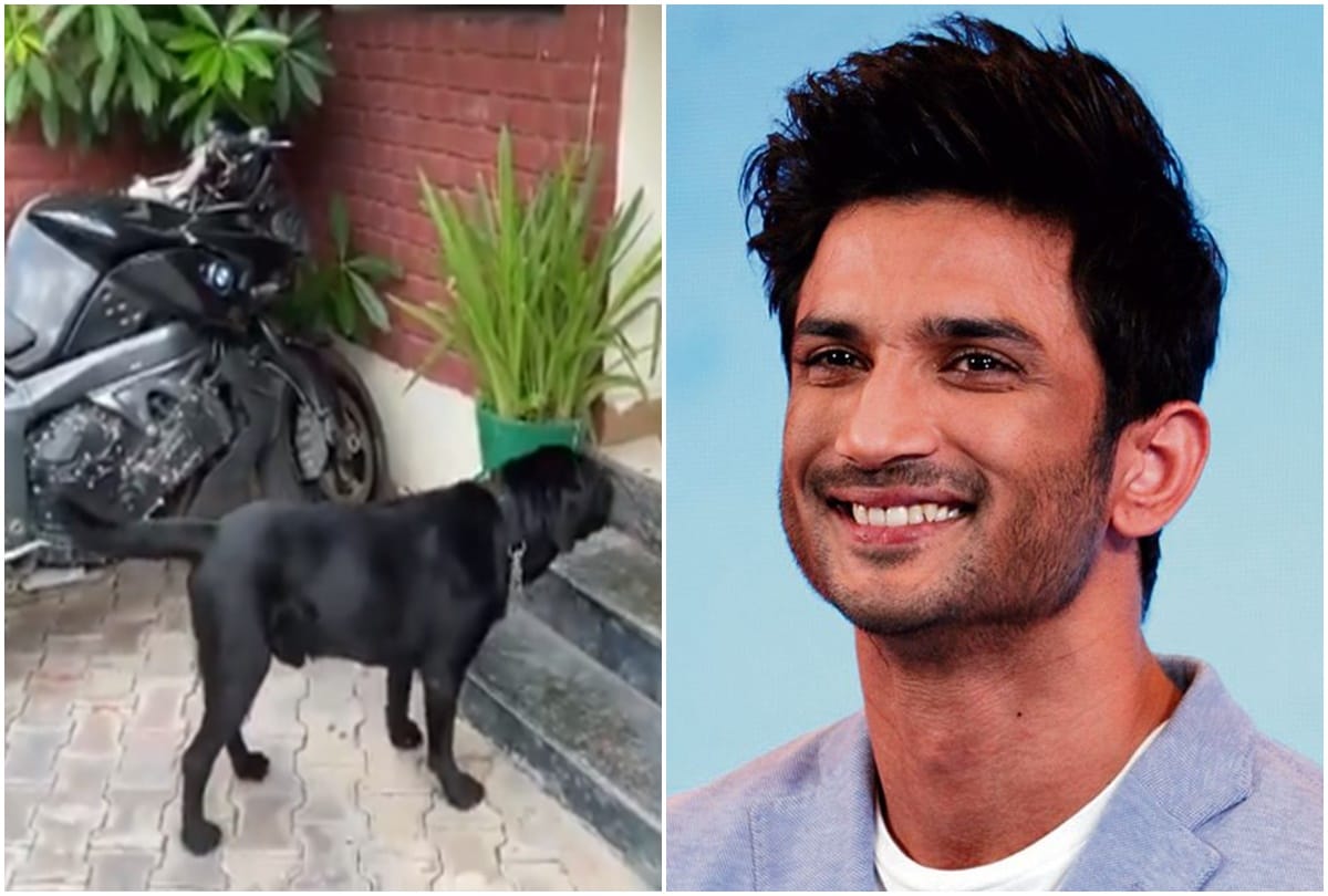 Fudge looking for Sushant Singh Rajput near his bike