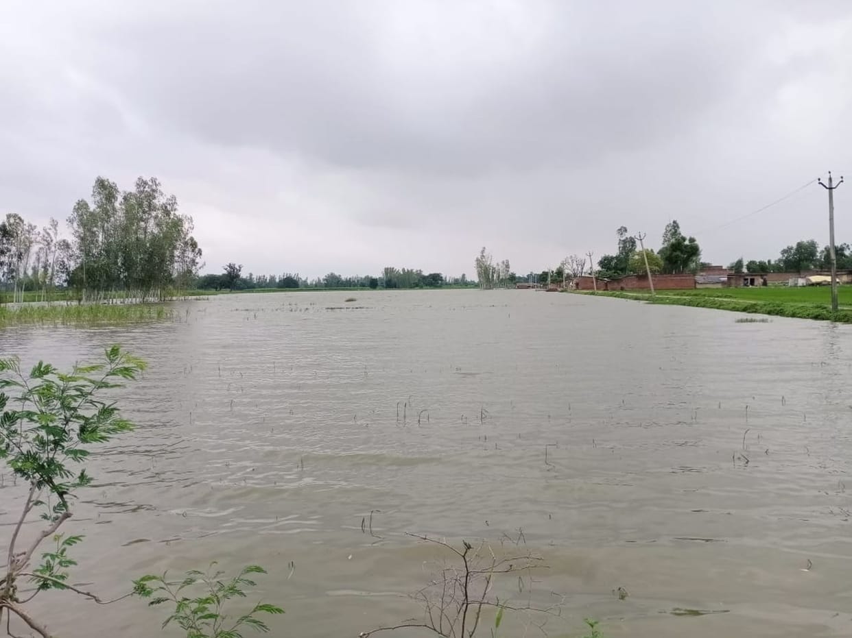 Saryu