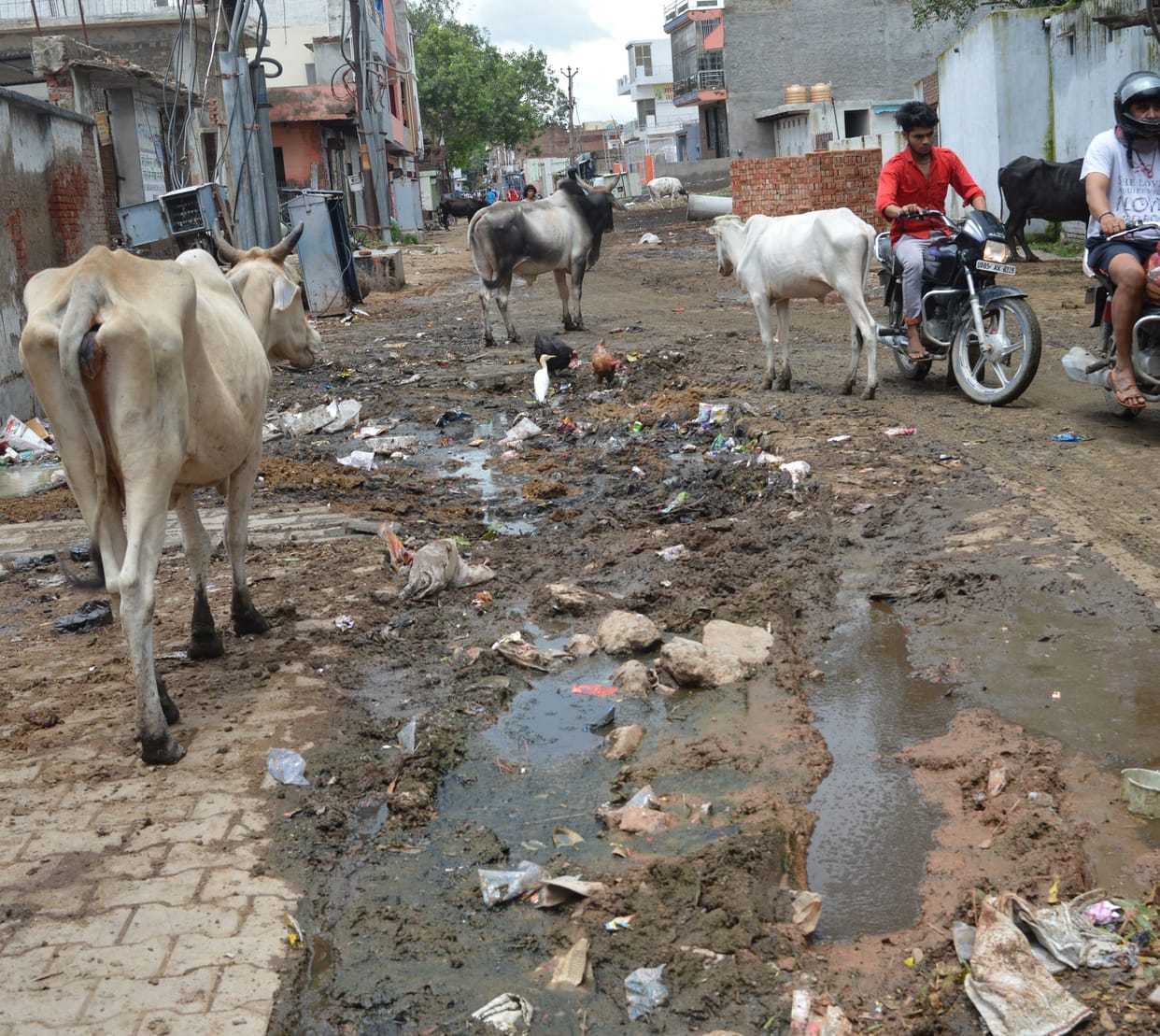 damage, road, public problem, mathura