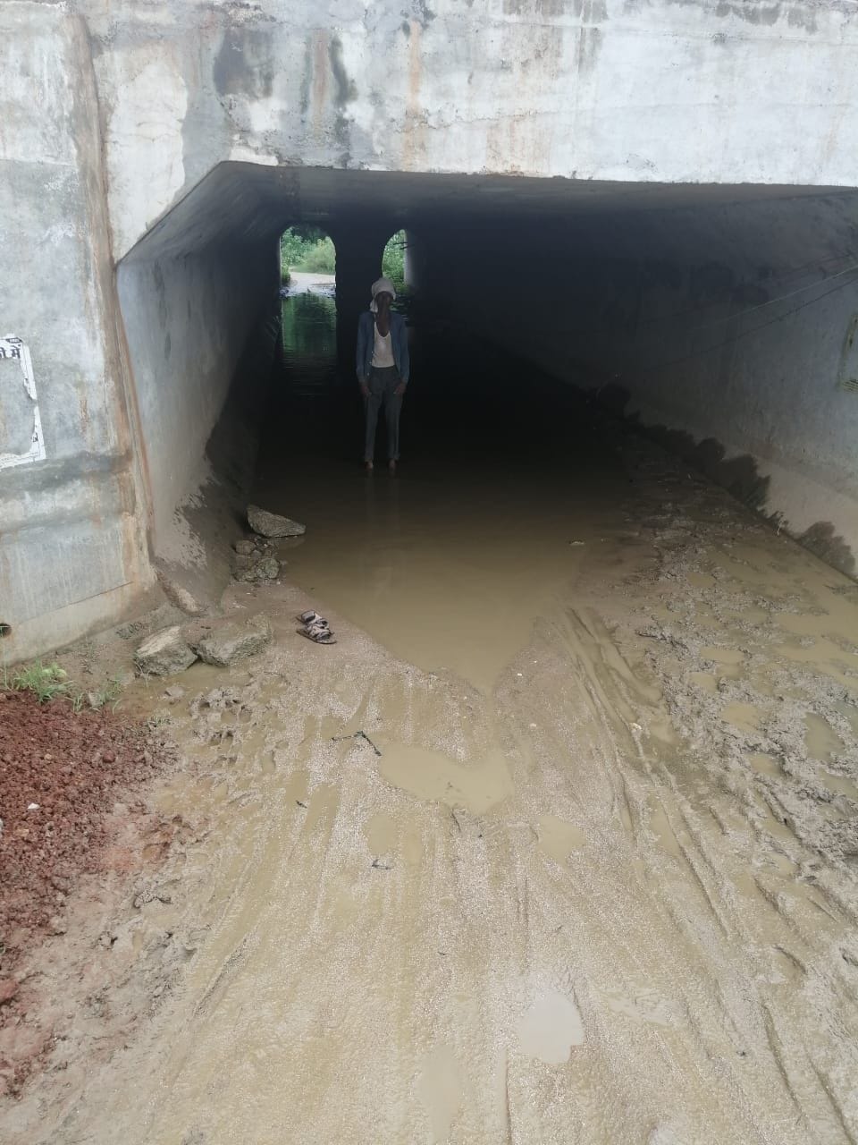 underbridge not make in tree year