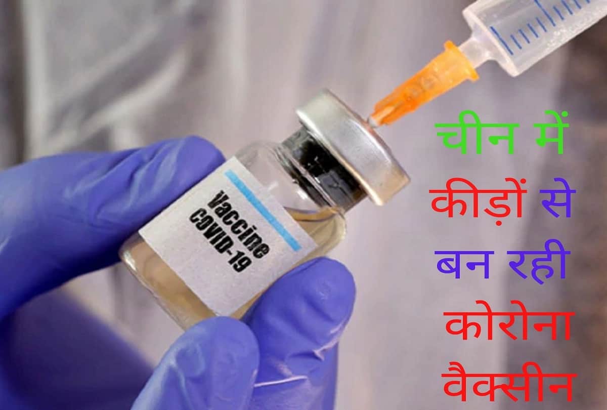 CoronaVirus Covid 19 Vaccine News Updates China Coronavirus vaccine updates in hindi China approves human trials for covid vaccine grown in insect cells