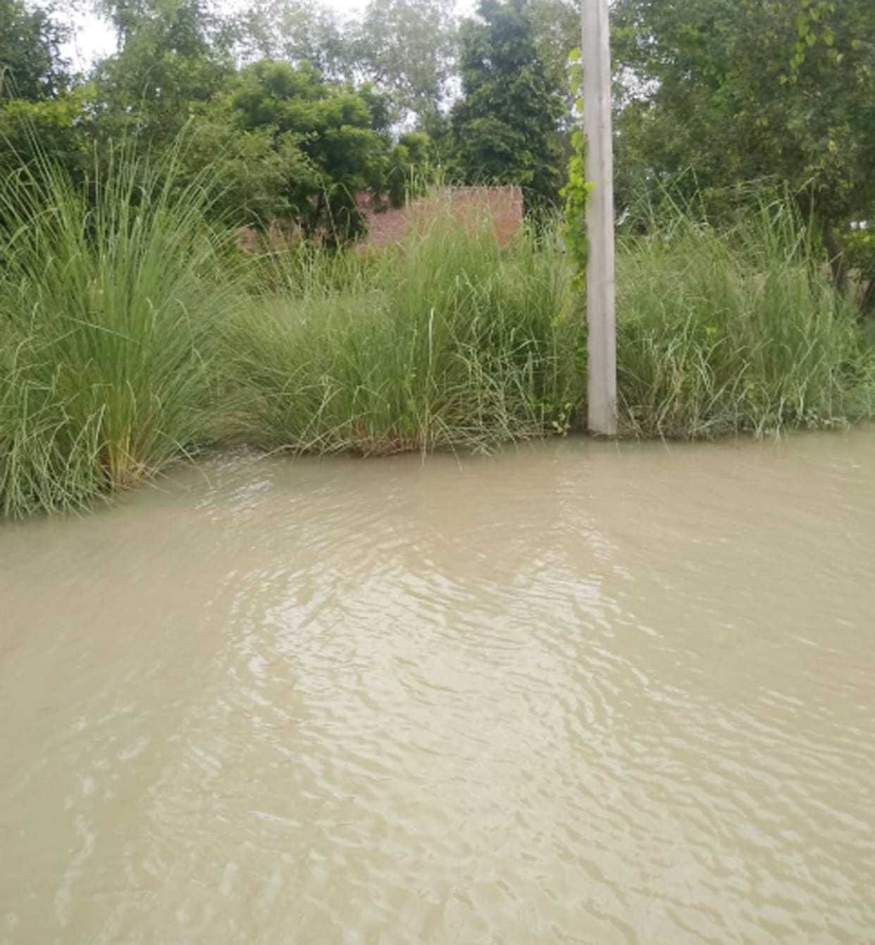 flood
