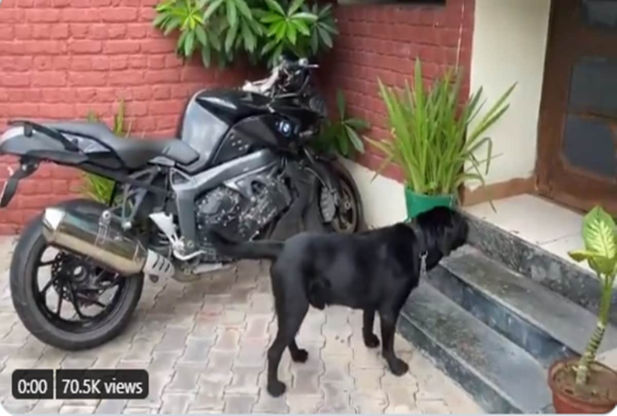 Fudge looking for Sushant Singh Rajput near his bike
