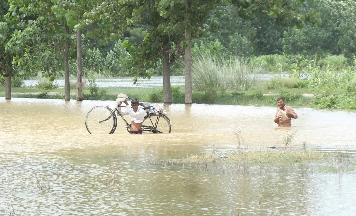 kosi river water reached in villege