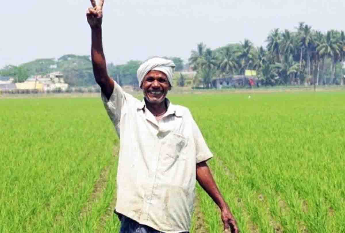 farmers planting trees in field get diagnosis by Forestry Scheme of Agriculture