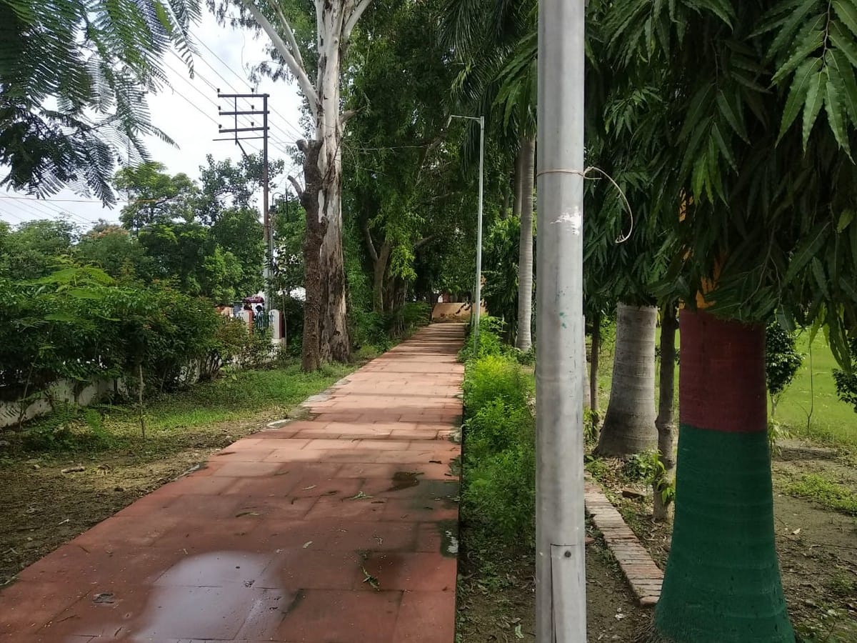 Even after five months of lockdown silence in Shaheed Udyan Park varanasi