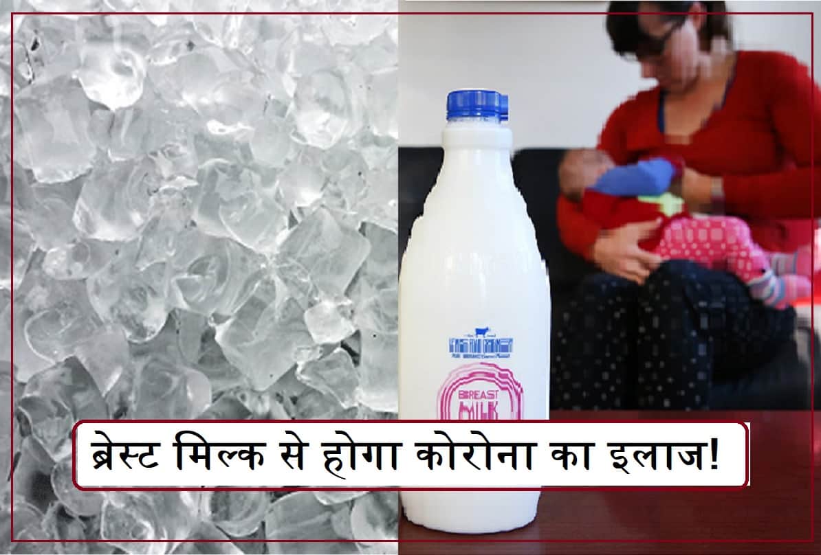 Coronavirus treatment by breast milk antibodies immunity, Covid patients to get ice cube, dutch scientist research