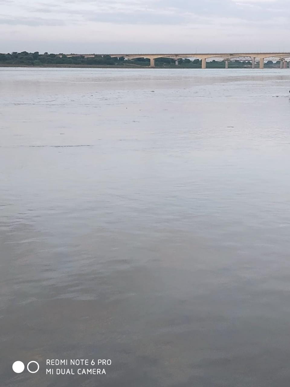 Yamuna's water level increases, flood posts on alert