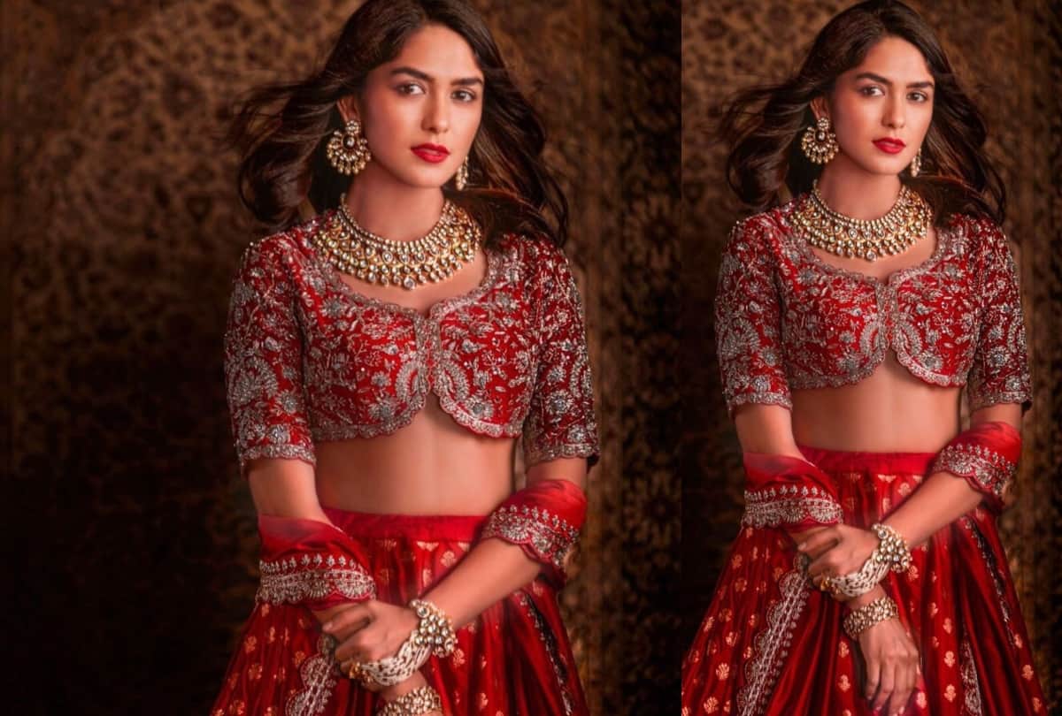 shahid kapoor heroine mrunal thakur white and red floral print saree look regel for new film promotion