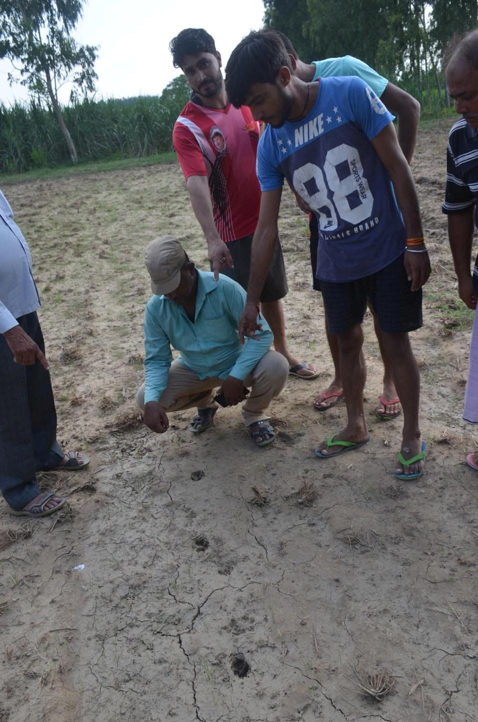 Leopard appears in Karhera forest