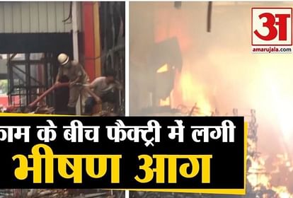 fire broke in a toy factory in sector 63 noida of uttar pradesh