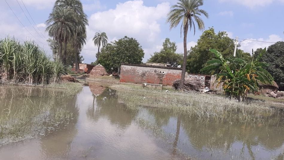 heavy loss of the crops due to water of ganga, road are also ruff