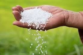 Aligarh: Now urea will be available only by showing Aadhar card