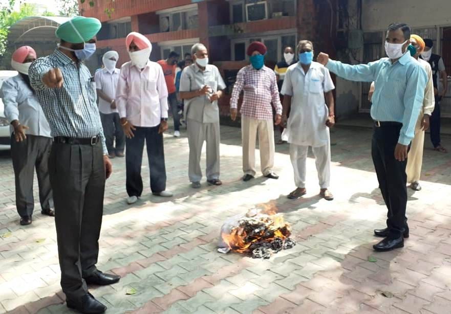 Employees burn the bundle of government's promises Amloh Mandi Gobindgarh