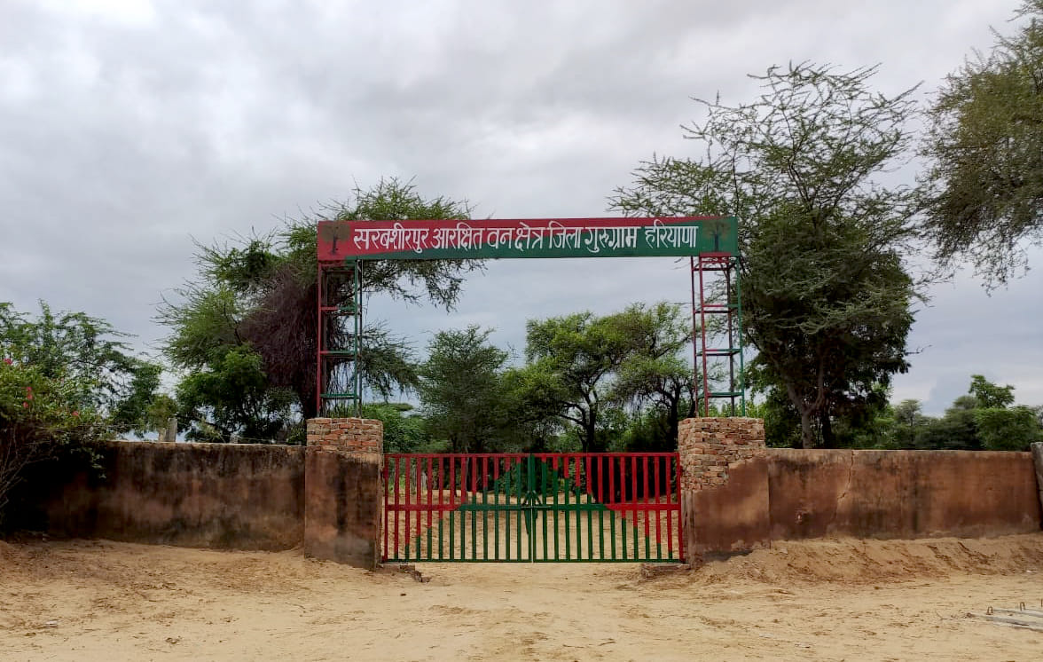 forest department planting trees in gurugram