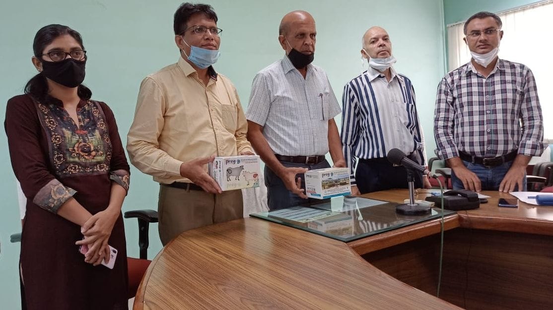 scientist invent cattle pregnancy test kit