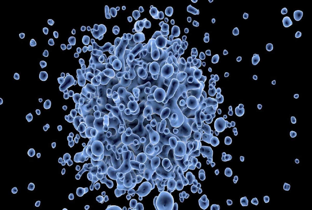 Africa declared free of polio Causes Symptoms and preventions