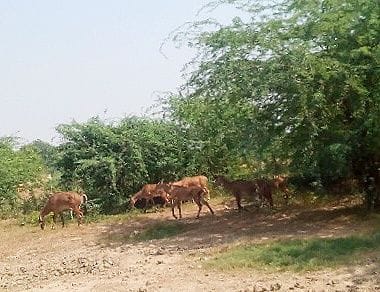 Said to stop defence corridor on khair road