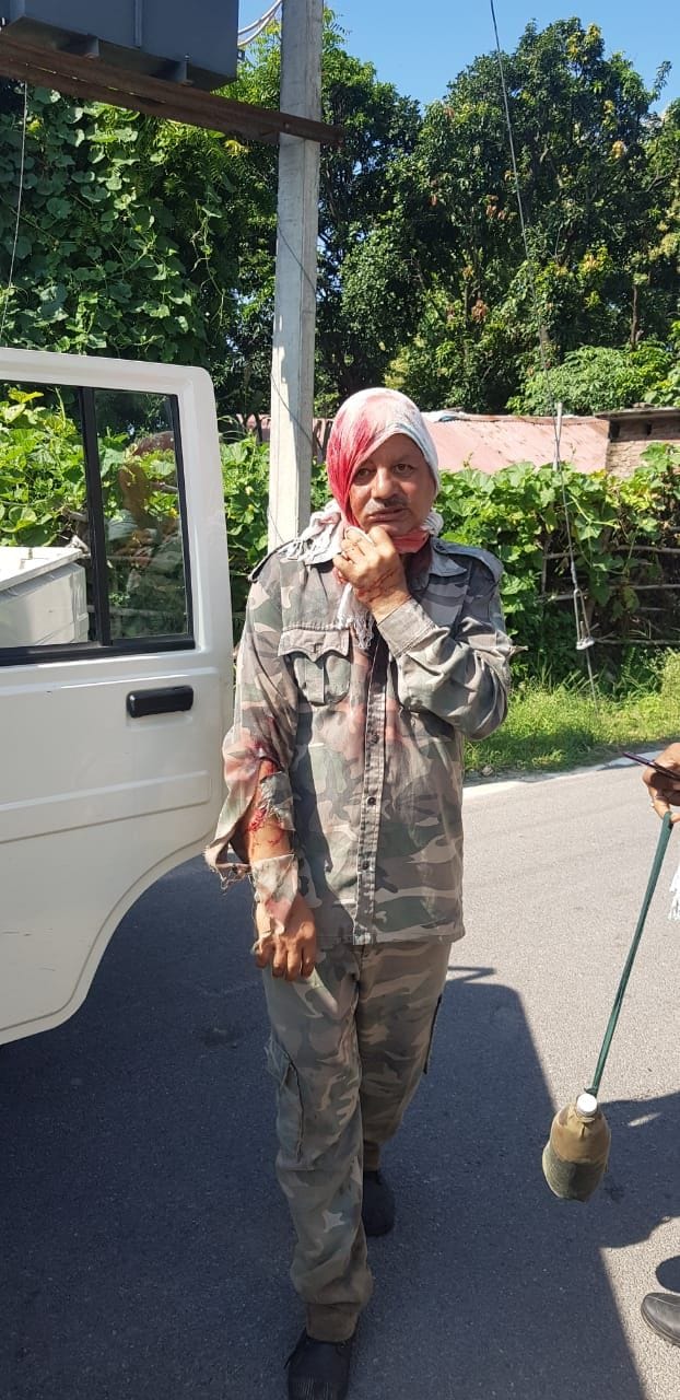 Tigress attacked forest worker in Corbett