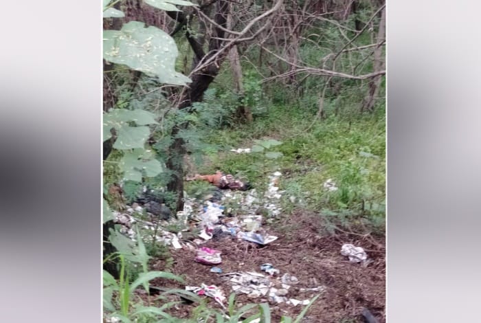 Dead Body Found in Forest Near Dhanas Lake, Chandigarh