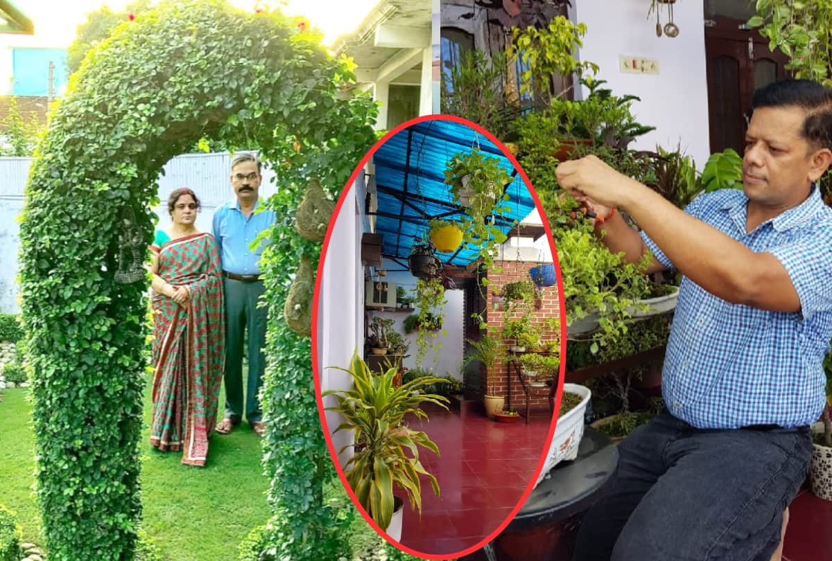 Doctor Arun Rai and Vishwamitra Bhatt serving nature gardening made rock garden in lawn