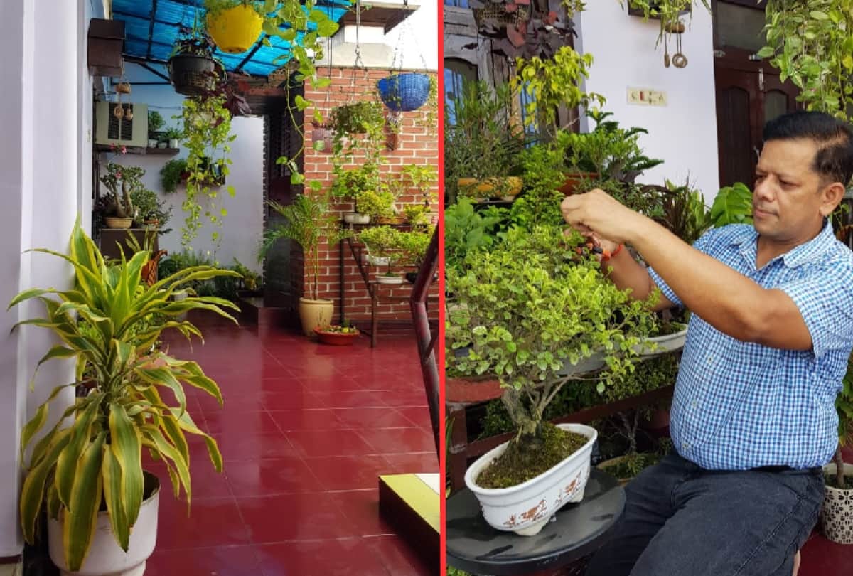 Doctor Arun Rai and Vishwamitra Bhatt serving nature gardening made rock garden in lawn