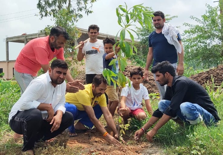 Planting done with umpire Anil Chaudhary