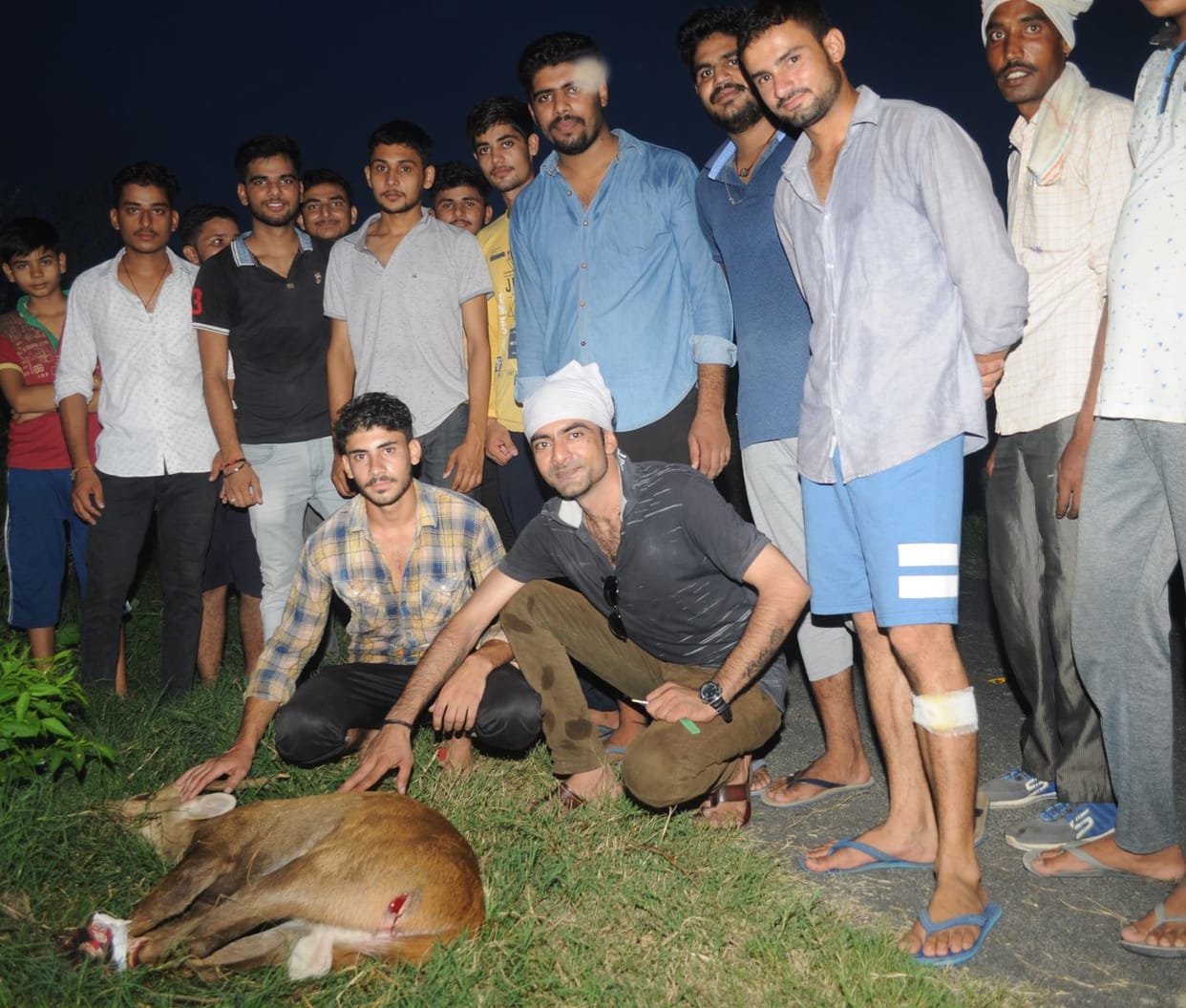 Jumped in the Yamuna Canal to avoid dogs