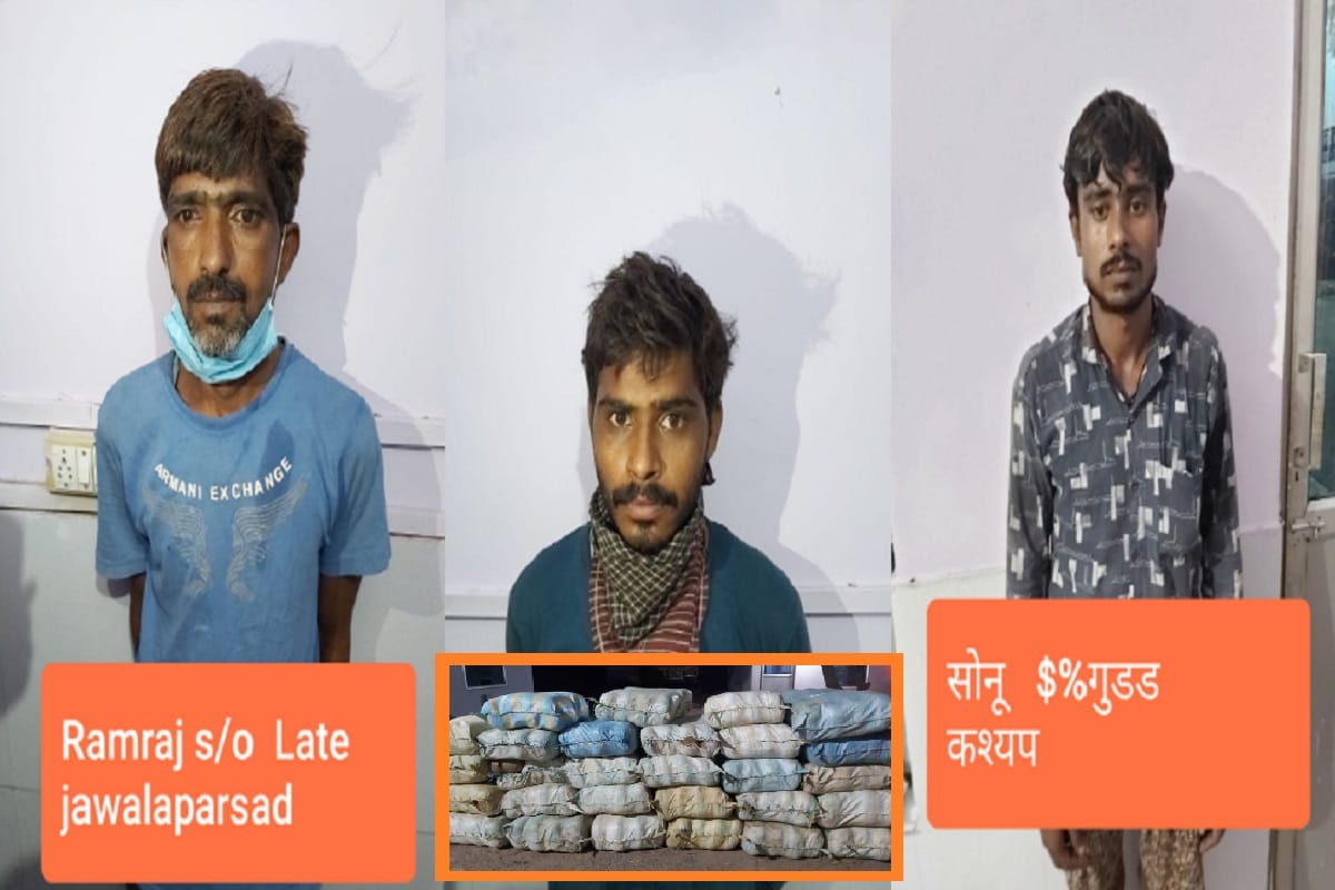 STF has arrested three accused with 11 quintal ganja in Meerut