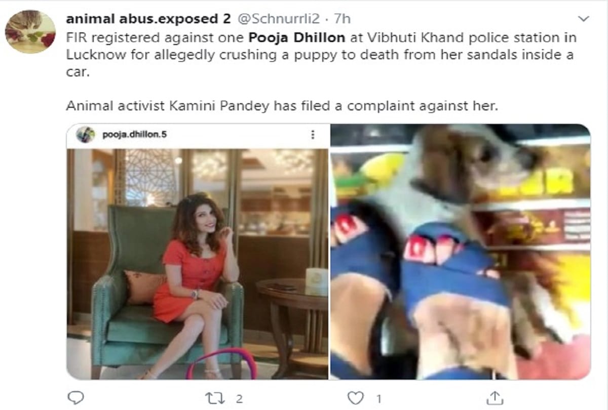 Animal cruelty case girl named Puja Dhillon sitting in car crushes puppies and kills them video viral on social media