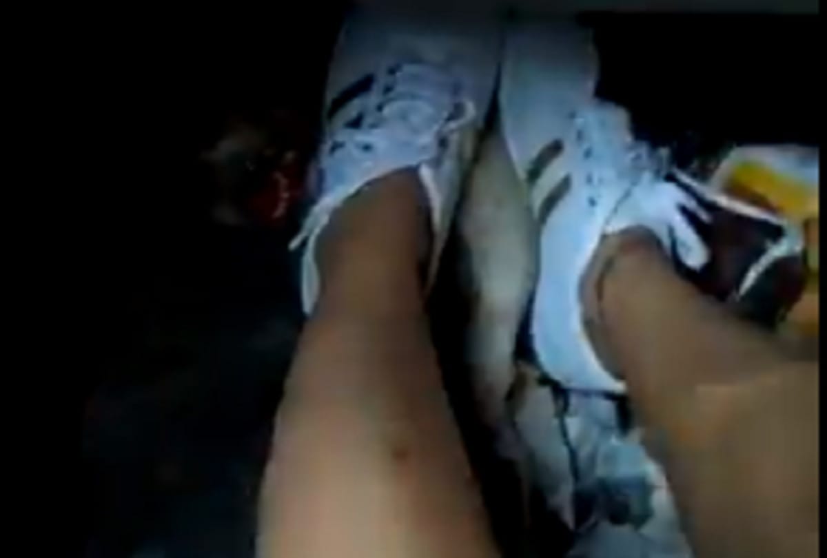 Animal cruelty case girl named Puja Dhillon sitting in car crushes puppies and kills them video viral on social media