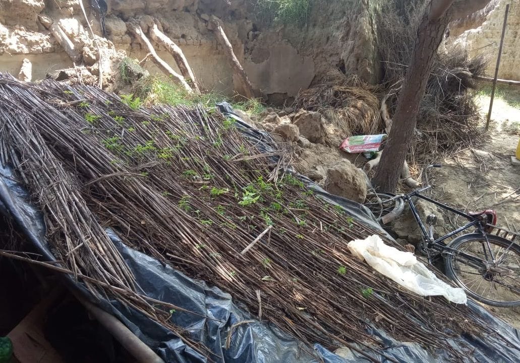 Roofs and verandahs of raw houses collapsed in etawah