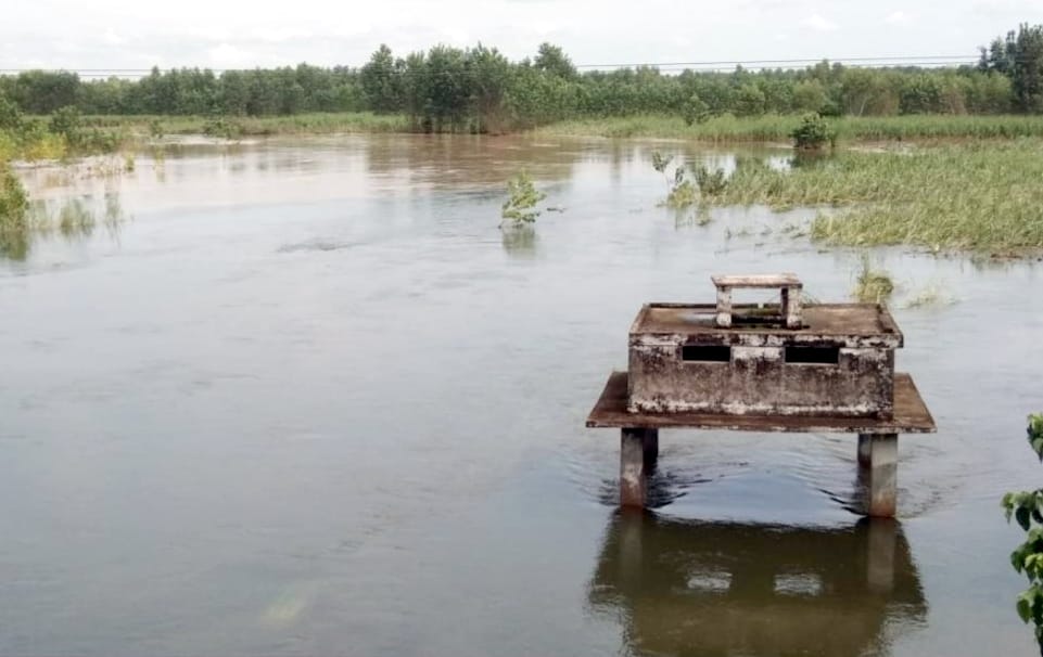Ramganga's water level increased due to rain on the mountains