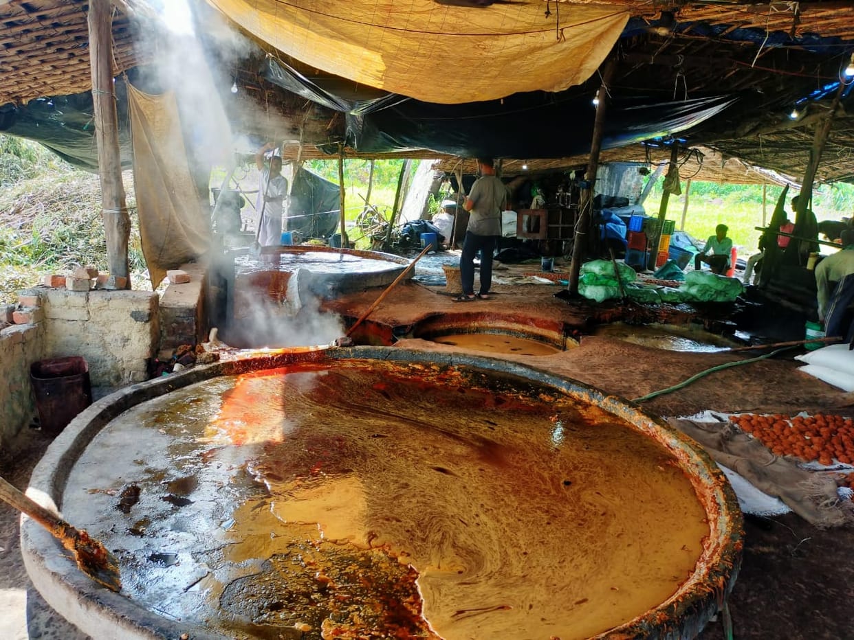 New jaggery is being prepared from old jaggery