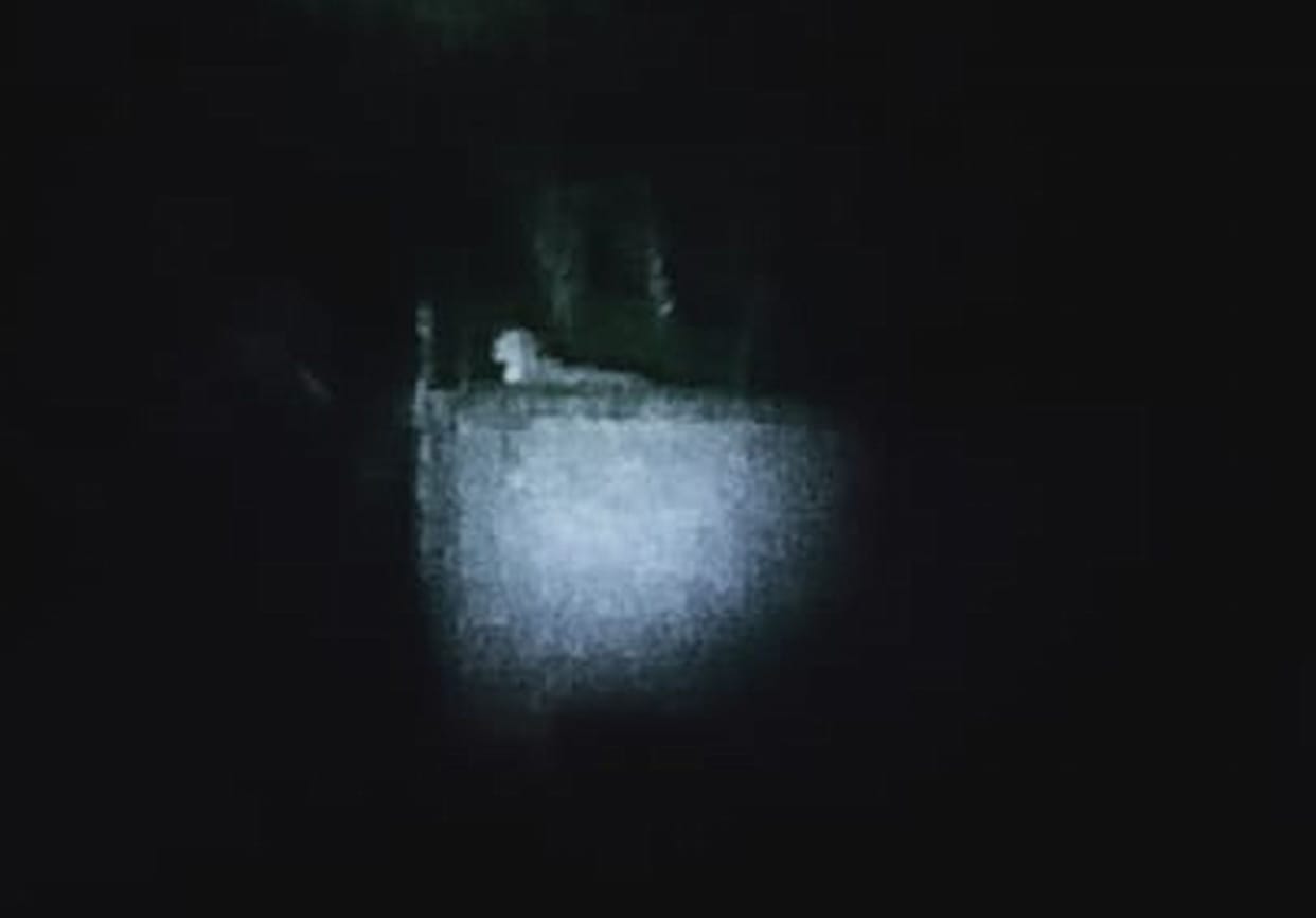 Guldar seated on the roof, night in terror