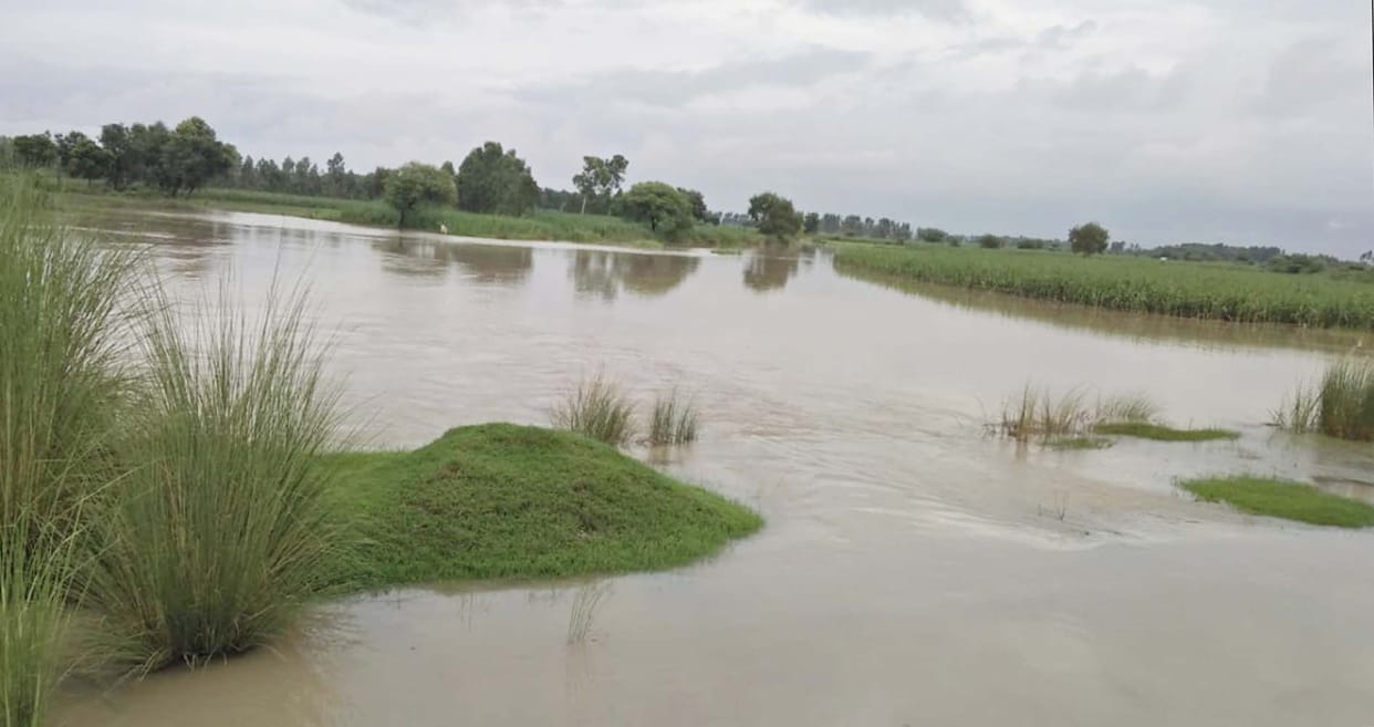 flood