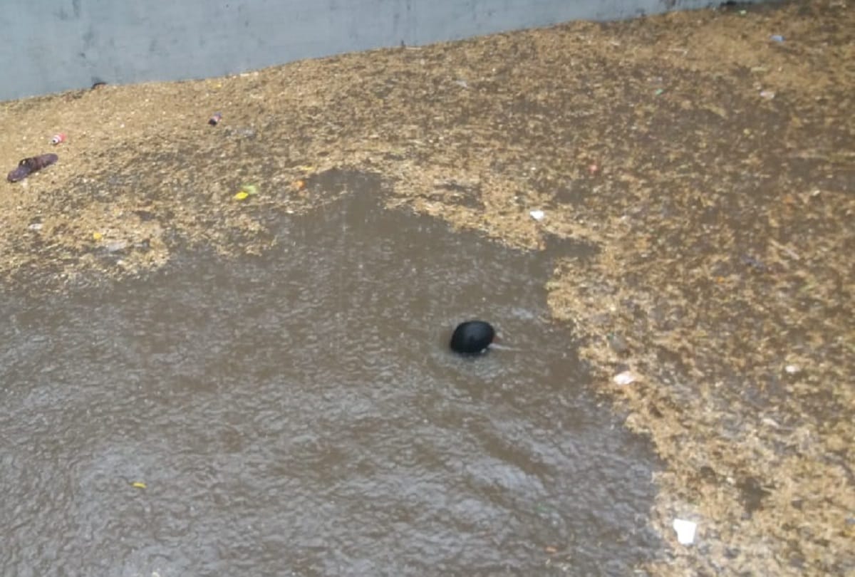 Ghaziabad rain water logging in gaushala underpass one youth died while saving drowning kid