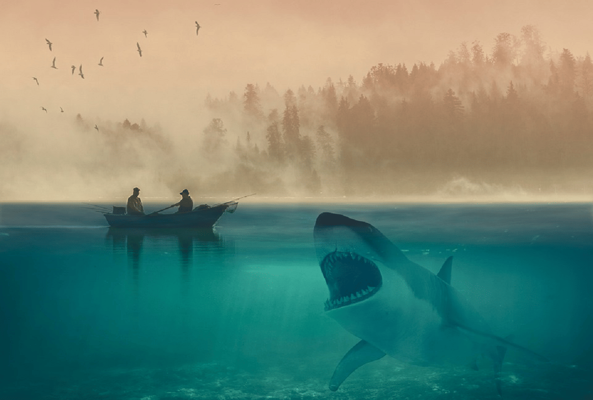 why do marine creatures swim in circles