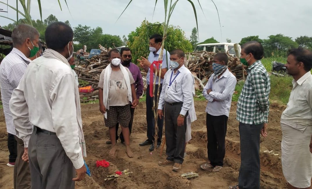 tranch proses for sugar cane crop in hardoi