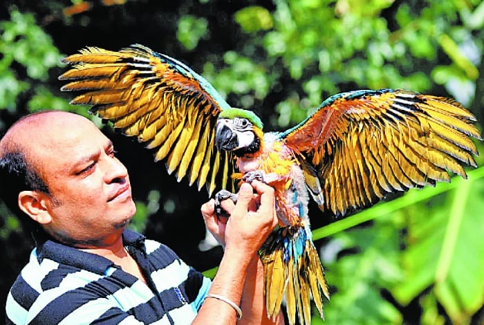 Chandigarh People Also Love Birds and Animals Like PM Modi