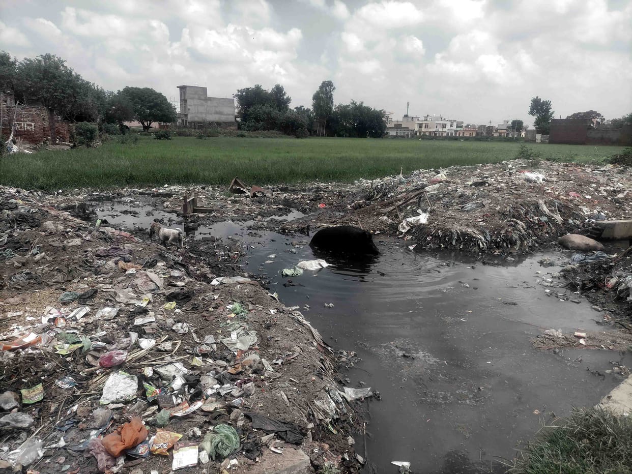 Pond existence in crisis due to illegal occupation